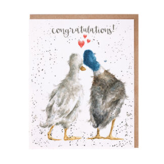 Wrendale Designs 'Duck Love' Congratulations Card