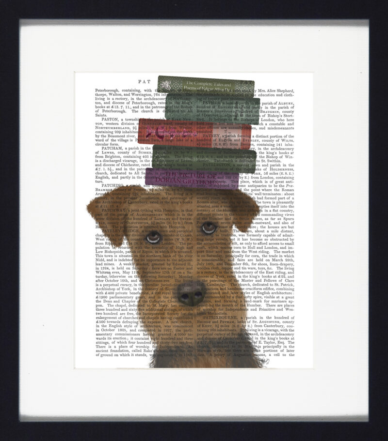 Novel Dogs Framed Print