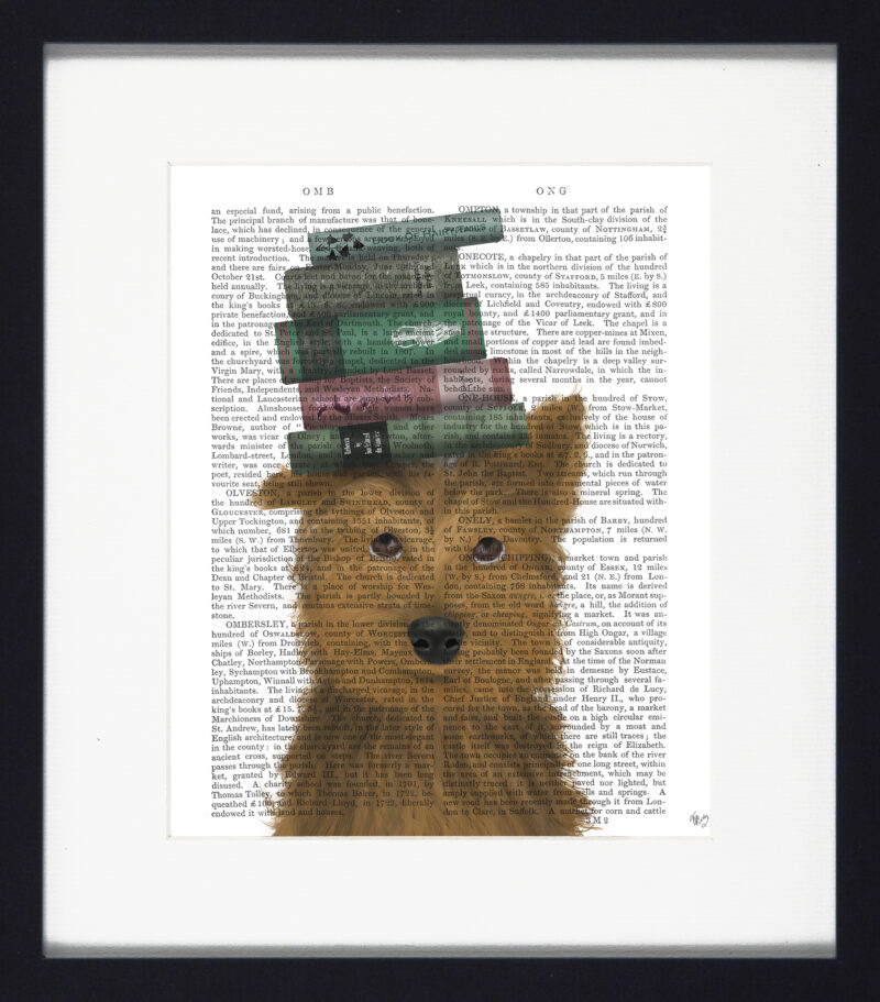 Novel Dogs Framed Print