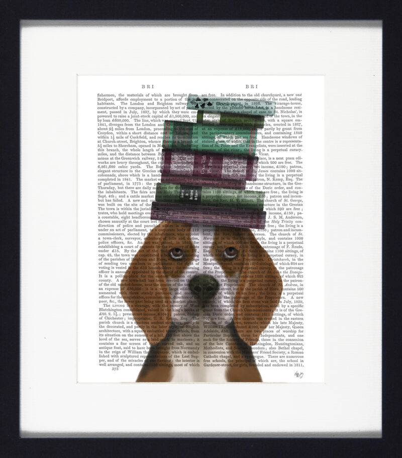 Novel Dogs Framed Print