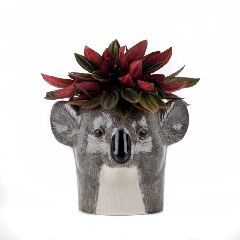 Quail Ceramics Koala Pencil Pot