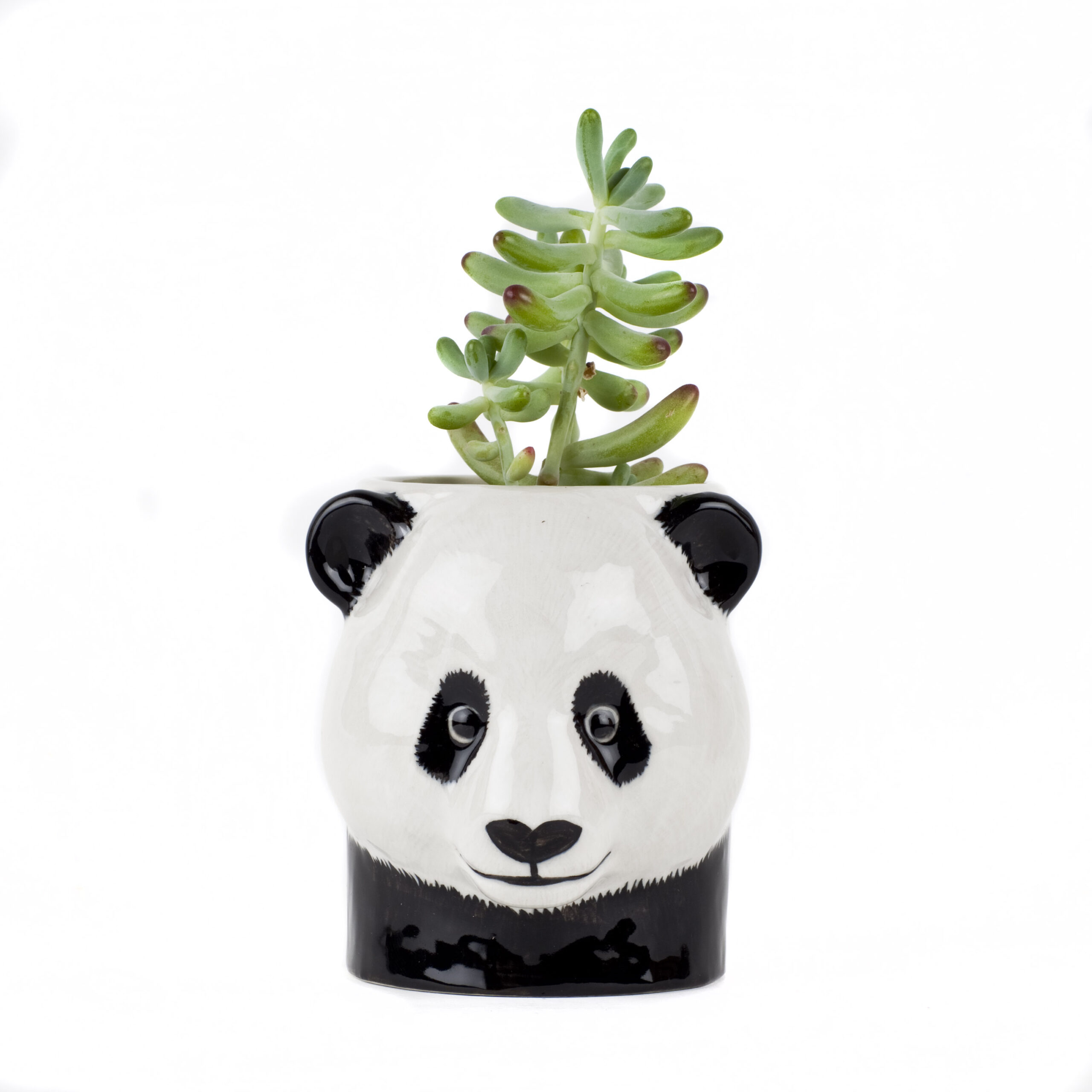Quail Ceramics Panda Pencil Pot