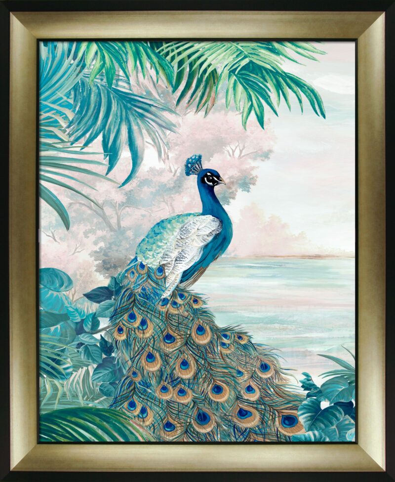 Peacock Glory I - Framed Print Wall Art