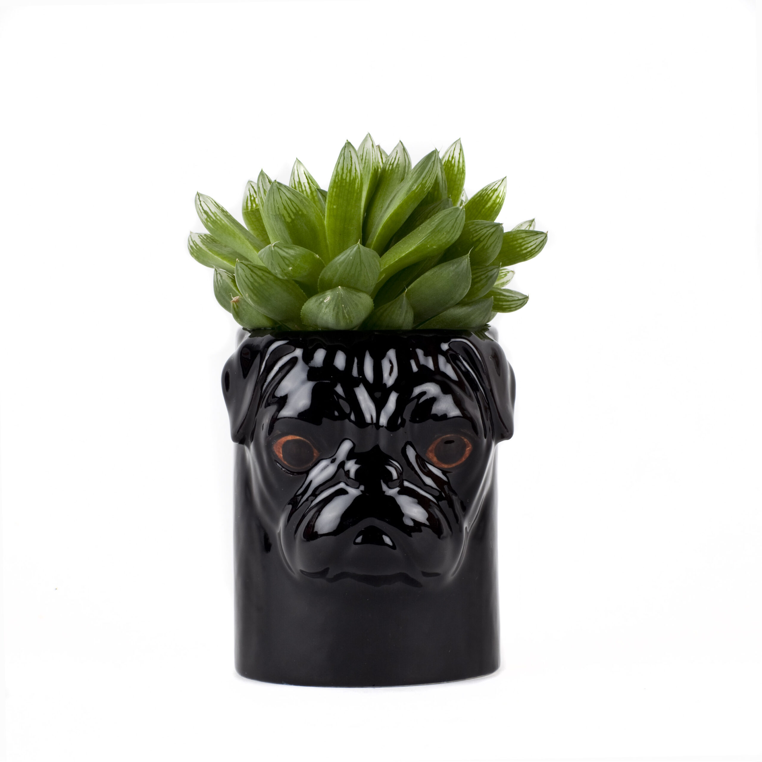 Quail Ceramics Pug Black Pencil Pot