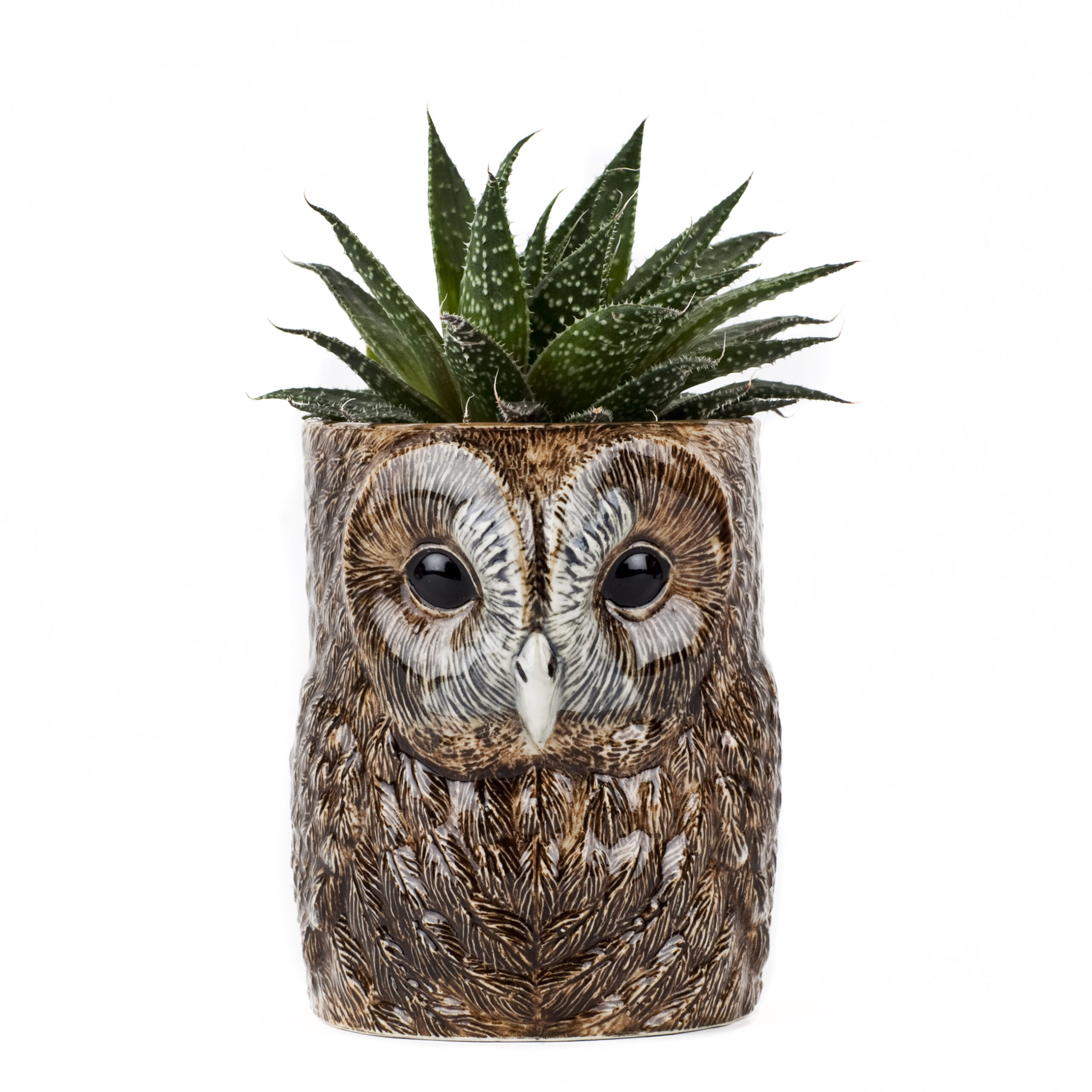 Quail Ceramics Tawny Owl Pencil Pot