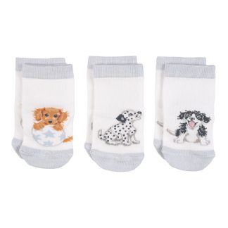 Wrendale Designs Little Wren 'Little Paws' Dog Baby Socks